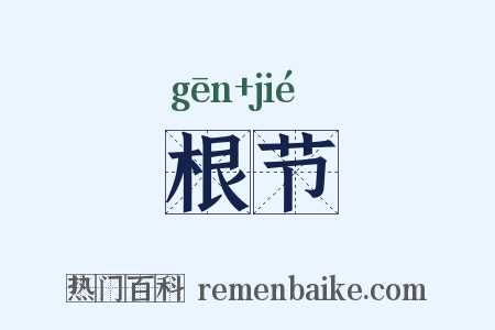 根节是什么意思的图片